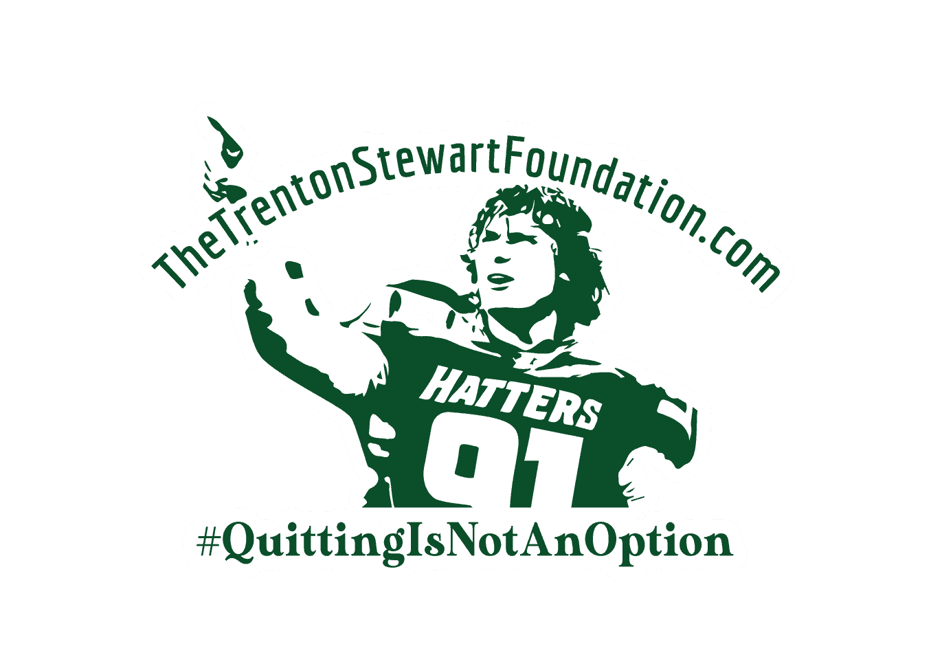 The Trenton Stewart Foundation
